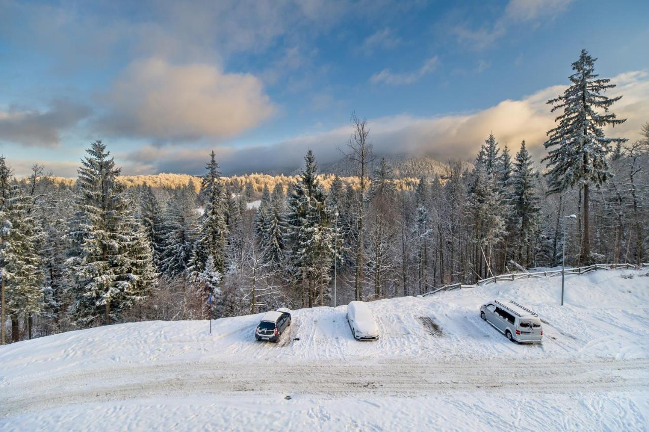 Silver Sunrise Studio In Silver Mountain Apartamento Poiana Brasov Exterior foto